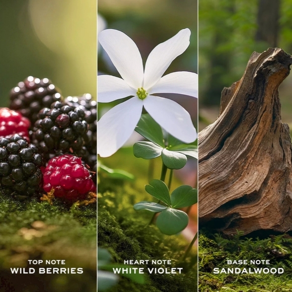 NIB-Daisy By Marc Jacobs-E.D.T.-1.6FL OZ - Picture 4 of 6